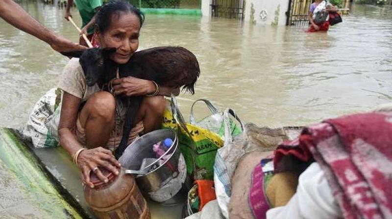 A woman holds a goat while sitting on a raft at the flood affected Koliabor village, some 186km from Guwahati, Assam on August 13, 2017. (Photo: AFP) A woman holds a goat while sitting on a raft at the flood affected Koliabor village, some 186km from Guwahati, Assam on August 13, 2017. (Photo: AFP)