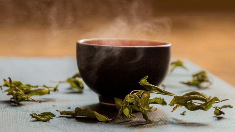 Green tea has a rich history in Asian countries and has been increasingly embraced in the West, in part for its potential health benefits. (Photo: Representational/Pixabay) Green tea has a rich history in Asian countries and has been increasingly embraced in the West, in part for its potential health benefits. (Photo: Representational/Pixabay)