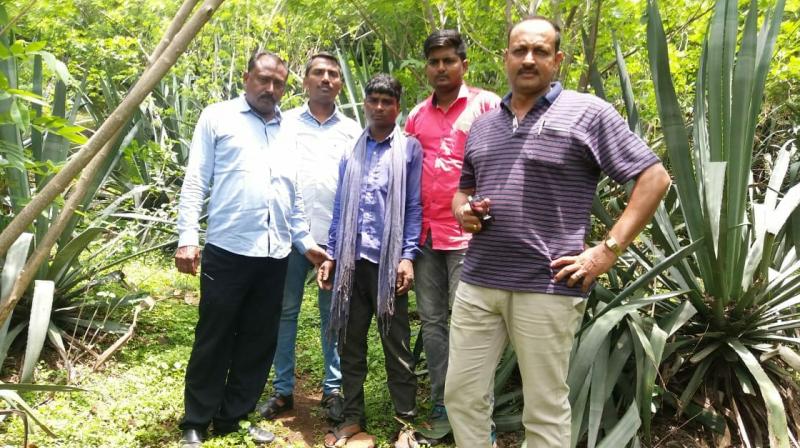 Main accused of Dhule lynching incident (at centre in picture) has been arrested by Local crime branch (LCB) squad. (Photo: Twitter/ANI) Main accused of Dhule lynching incident (at centre in picture) has been arrested by Local crime branch (LCB) squad. (Photo: Twitter/ANI)
