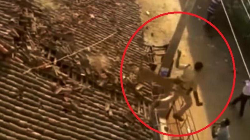 The ranger was injured (Photo: YouTube) The ranger was injured (Photo: YouTube)