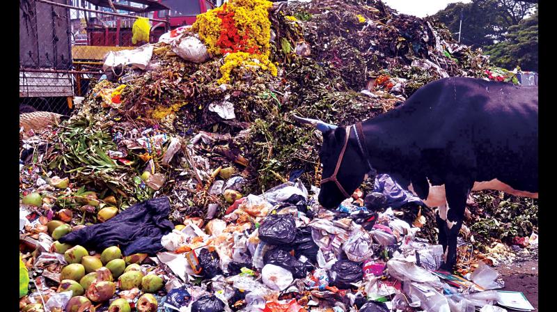 Ayudha Puja waste dumped on a pavement at K R Market in Bengaluru on Friday (Image DC) Ayudha Puja waste dumped on a pavement at K R Market in Bengaluru on Friday (Image DC)