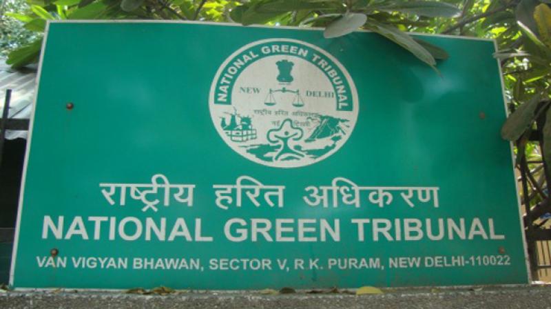 National Green Tribunal. (Photo: File) National Green Tribunal. (Photo: File)