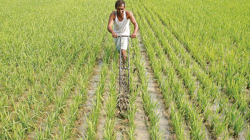 Govt targeting 10 per cent ethanol blending in petrol by 2022 and 20 per cent by 2030. Govt targeting 10 per cent ethanol blending in petrol by 2022 and 20 per cent by 2030.