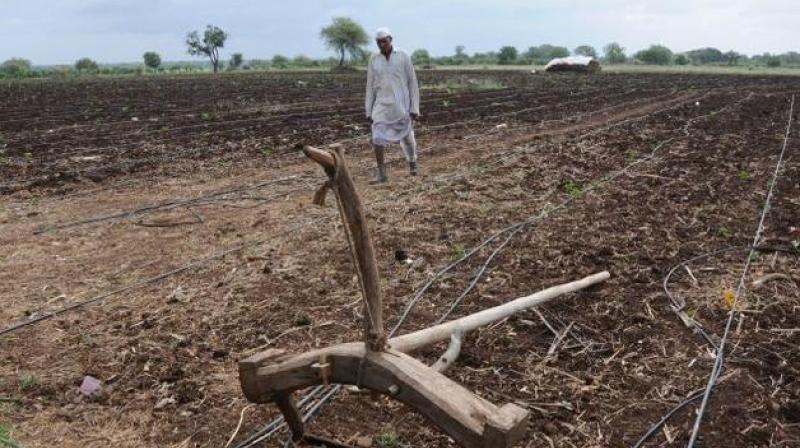 Waste land in India has been categorised to identify as cultivable and uncultivable waste land. Cultivable waste land is the land having the potential to develop into vegetative cover but has not been used due to various reasons. (Representational image) Waste land in India has been categorised to identify as cultivable and uncultivable waste land. Cultivable waste land is the land having the potential to develop into vegetative cover but has not been used due to various reasons. (Representational image)