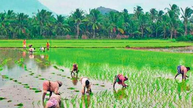 Following widespread support for jallikattu, a group of youngsters in Chennai are all set to campaign for farmers and has come out with a short film on agrarian crisis. Following widespread support for jallikattu, a group of youngsters in Chennai are all set to campaign for farmers and has come out with a short film on agrarian crisis.