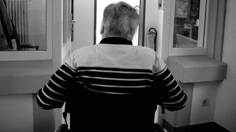 Alzheimer's disease causes abnormal deposits of amyloid beta protein and tau protein in the brain, as well as swarms of activated immune cells. (Photo: Pixabay) Alzheimer's disease causes abnormal deposits of amyloid beta protein and tau protein in the brain, as well as swarms of activated immune cells. (Photo: Pixabay)