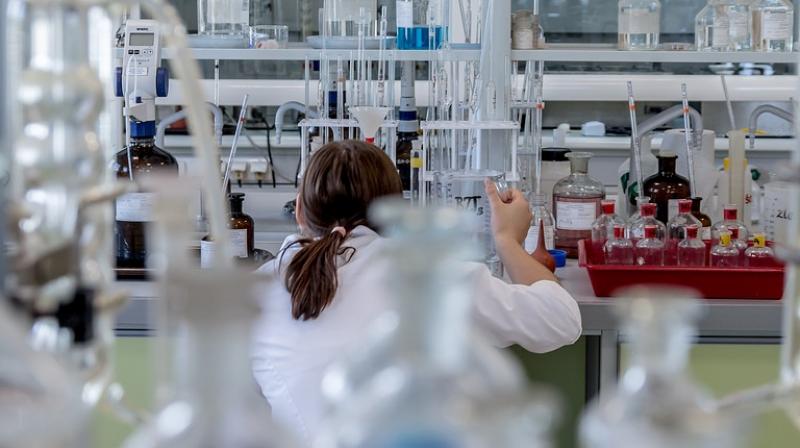 New substance discovered could help tackle tuberculosis. (Photo: Pixbay) New substance discovered could help tackle tuberculosis. (Photo: Pixbay)