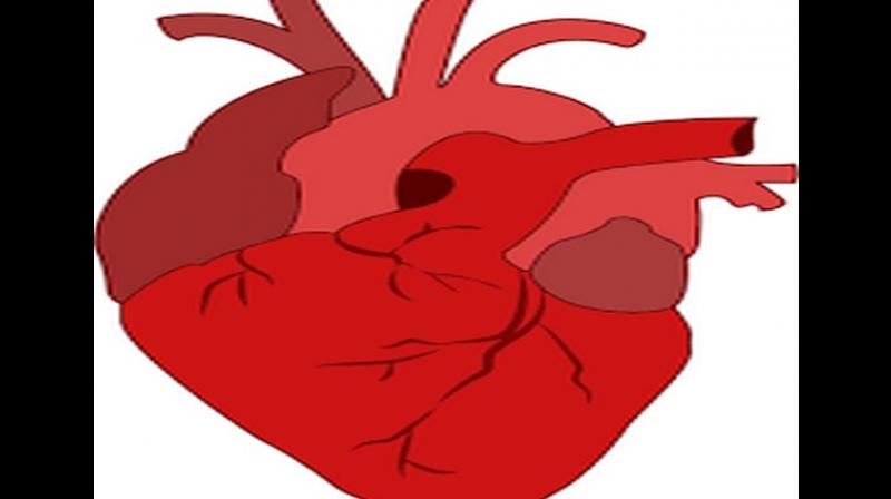 The findings of the study were published in the prestigious journal -- Nature Genetics. (Photo: ANI)