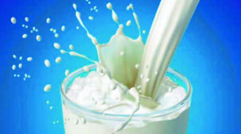 It's well known that dairy products such as milk, yogurt, and cheese are nutrient-rich foods which provide many essential nutrients. (Photo: File) It's well known that dairy products such as milk, yogurt, and cheese are nutrient-rich foods which provide many essential nutrients. (Photo: File)