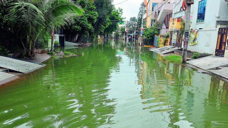 Mitalinagar at Jillelaguda remains flooded for the second day after heavy downpour in the last three days. (Photo: P. Surendra) Mitalinagar at Jillelaguda remains flooded for the second day after heavy downpour in the last three days. (Photo: P. Surendra)