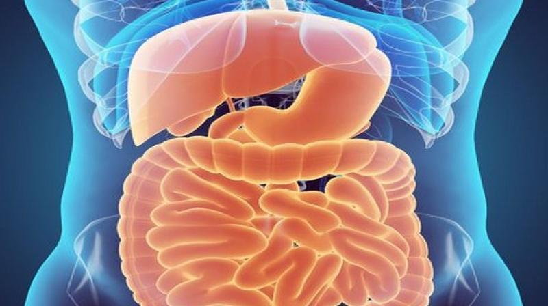 The study was published in the Journal of Clinical Investigation. (Photo: ANI) The study was published in the Journal of Clinical Investigation. (Photo: ANI)