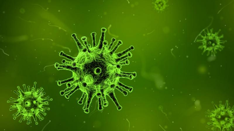 New study finds childhood infections affect school performance. (Photo: Pixabay) New study finds childhood infections affect school performance. (Photo: Pixabay)
