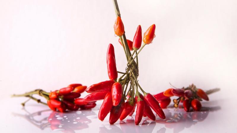 Drug derived from chilli peppers aids weight loss. (Photo: Pixabay) Drug derived from chilli peppers aids weight loss. (Photo: Pixabay)