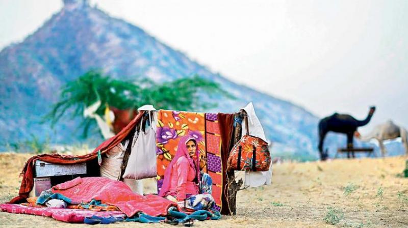 ‘Open Air Bedroom’ at the world famous Pushkar camel fair ‘Open Air Bedroom’ at the world famous Pushkar camel fair