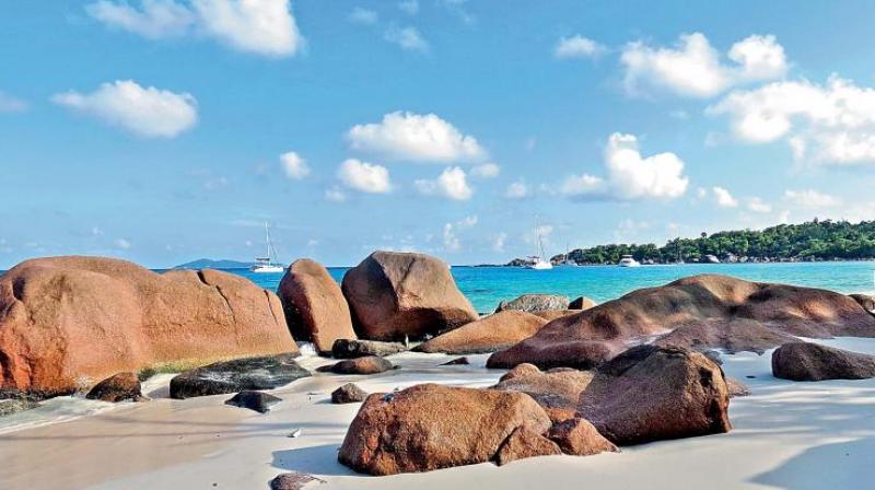 Relive a piece of history while walking through Le Jardin du Roi in Seychelles. Relive a piece of history while walking through Le Jardin du Roi in Seychelles.