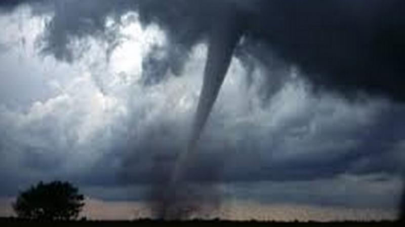 The most important climate factors for yield anomalies were related to temperature, not precipitation. (Photo: ANI) The most important climate factors for yield anomalies were related to temperature, not precipitation. (Photo: ANI)