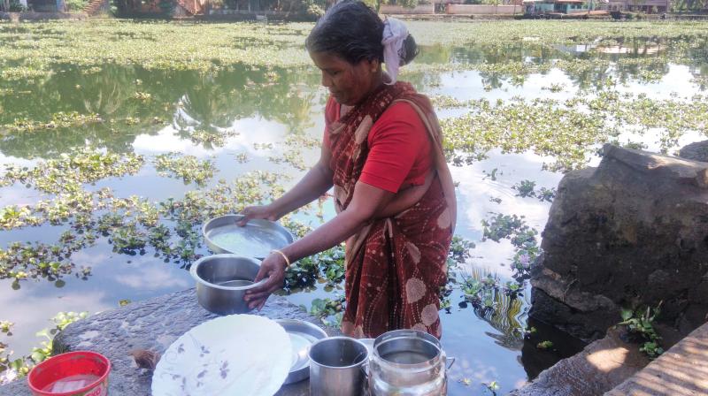 A woman washes domestic utensils with the polluted water of Pamba river. (Photo: DC) A woman washes domestic utensils with the polluted water of Pamba river. (Photo: DC)