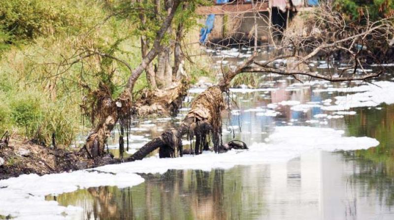 The state government’s repeal of the Karnataka Lake Conservation Development Authority, the small but significant body in the protection of Bengaluru’s ailing water bodies, is a dire blow at a time of crisis. The state government’s repeal of the Karnataka Lake Conservation Development Authority, the small but significant body in the protection of Bengaluru’s ailing water bodies, is a dire blow at a time of crisis.