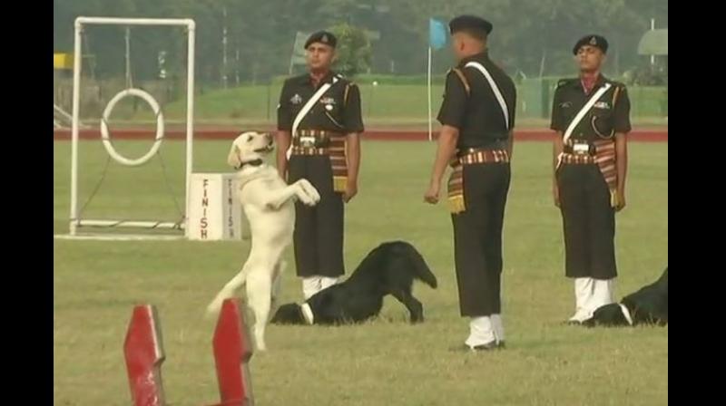 Delegate Quazi Rosy is leading a Bangladeshi delegation including Mukti Joddhas participating in the Vijay Diwas celebrations in Kolkata this year. (Photo: ANI) Delegate Quazi Rosy is leading a Bangladeshi delegation including Mukti Joddhas participating in the Vijay Diwas celebrations in Kolkata this year. (Photo: ANI)