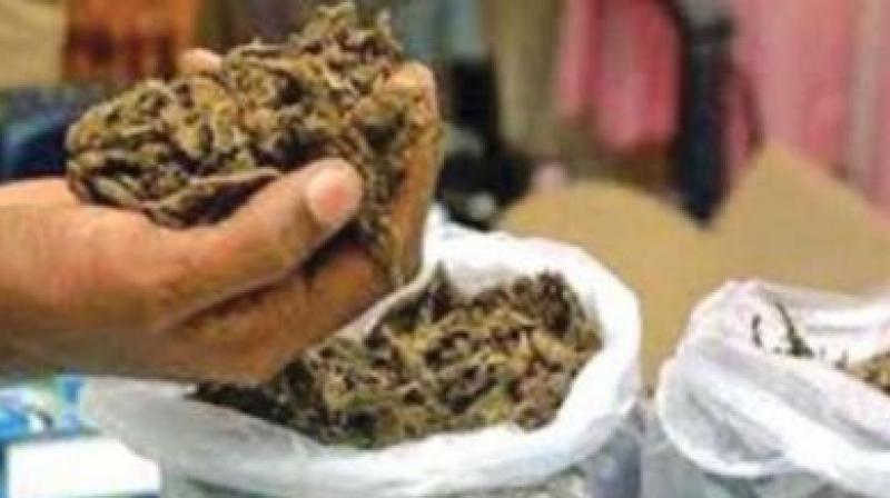 Based on a tip off, the police raided their house and seized the contraband. The police who have registered a case. Based on a tip off, the police raided their house and seized the contraband. The police who have registered a case.