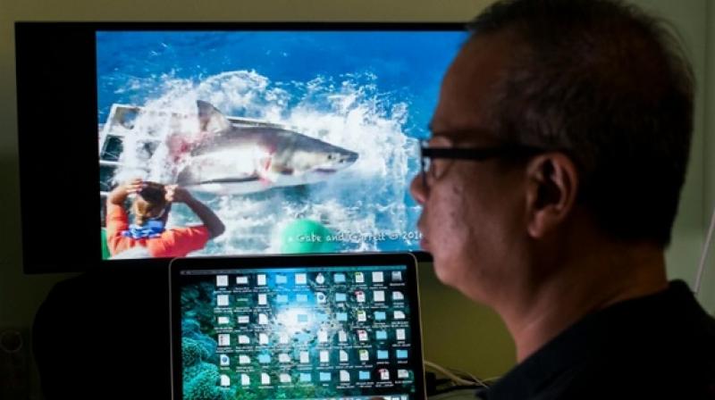 Chan Ming was on a shark-watching excursion (Photo: AFP) Chan Ming was on a shark-watching excursion (Photo: AFP)