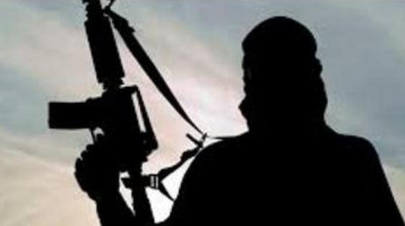 He said that during the search operation, the militants holed up in the village opened fire on the security which was retaliated, leading to an encounter. (Photo: Representational)