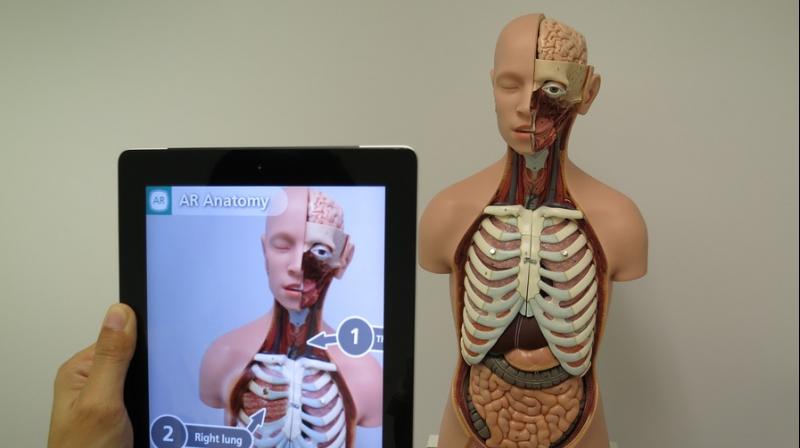 According to the team, this approach can help surgeons locate and reconnect key blood vessels during reconstructive surgery, which could improve outcomes for patients.(credit: pixabay) According to the team, this approach can help surgeons locate and reconnect key blood vessels during reconstructive surgery, which could improve outcomes for patients.(credit: pixabay)