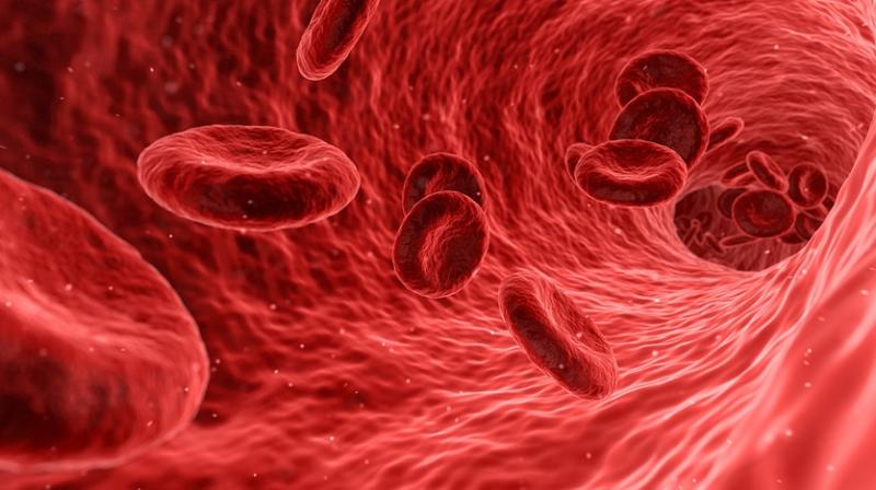 Carbon nanotubes are well known to be electroactive and mechanically stable (Photo: Pixabay) Carbon nanotubes are well known to be electroactive and mechanically stable (Photo: Pixabay)