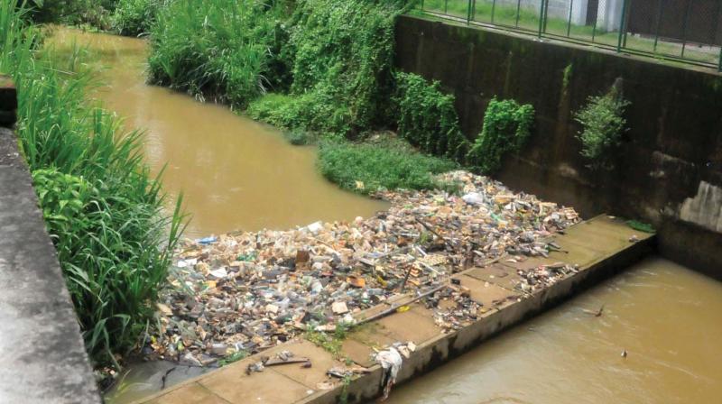 Waste in Killi River. (File picture) Waste in Killi River. (File picture)