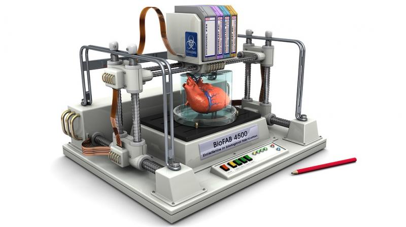 The research makes human skin one of the first living organs created using bioprinting to be introduced to the marketplace. It replicates the natural structure of the skin, with a first external layer, the epidermis with its stratum corneum, which acts as protection against the external environment, together with another thicker, deeper layer, the dermis. (Representational image) The research makes human skin one of the first living organs created using bioprinting to be introduced to the marketplace. It replicates the natural structure of the skin, with a first external layer, the epidermis with its stratum corneum, which acts as protection against the external environment, together with another thicker, deeper layer, the dermis. (Representational image)