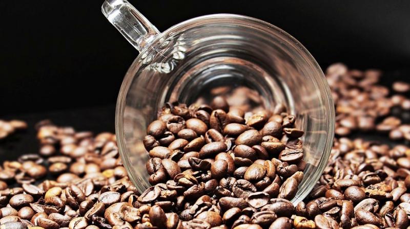 The muddy smell in Araku Coffee has been reported several times by the Indian Coffee Trade Association upon inspection of its cup quality. (Photo: Representational/Pixabay) The muddy smell in Araku Coffee has been reported several times by the Indian Coffee Trade Association upon inspection of its cup quality. (Photo: Representational/Pixabay)