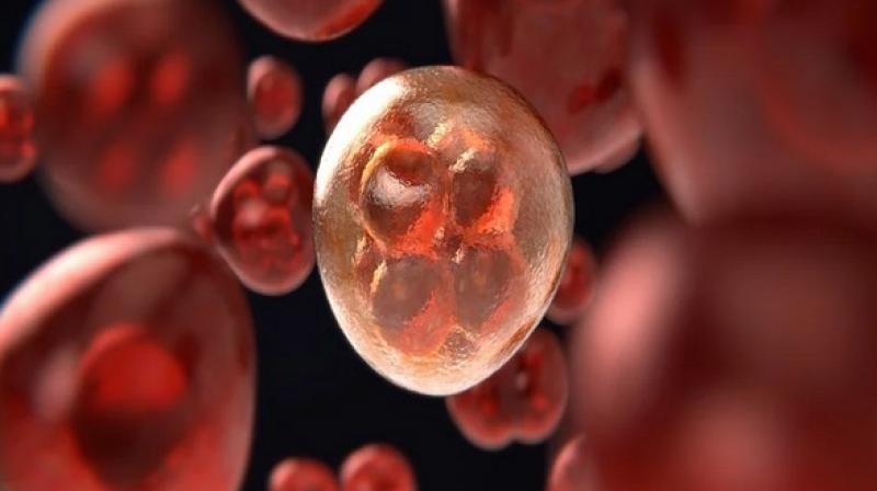 The transcriptome holds important information about the condition of cells. (Photo: ANI)