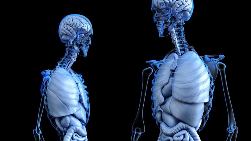 3D printers help doctors make simulated body parts. (Photo: Pixabay) 3D printers help doctors make simulated body parts. (Photo: Pixabay)