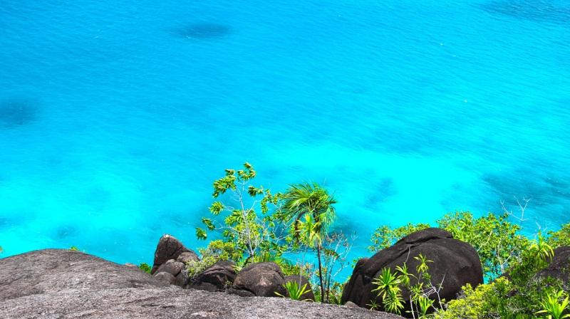 Seychelles announces pioneering marine conservation plan. (Photo: Pixabay) Seychelles announces pioneering marine conservation plan. (Photo: Pixabay)