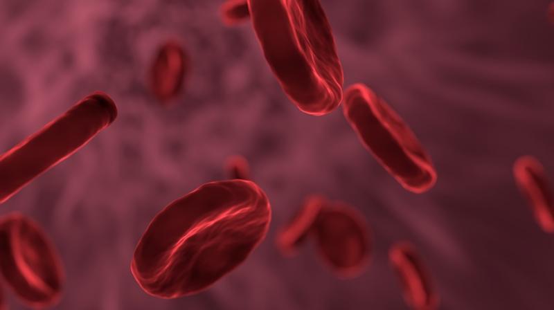 Genetic mutations could impact cancer treatment. (Photo: Pixabay) Genetic mutations could impact cancer treatment. (Photo: Pixabay)