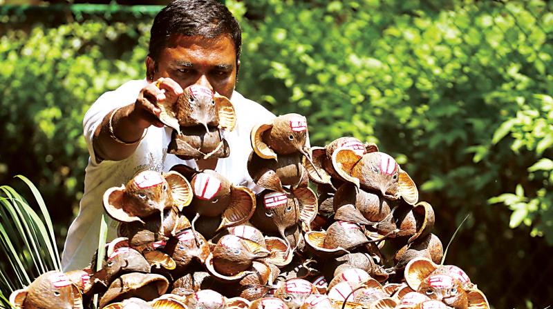 A vendor sells eco-friendly Ganesha idols made out of coconut husks. A vendor sells eco-friendly Ganesha idols made out of coconut husks.