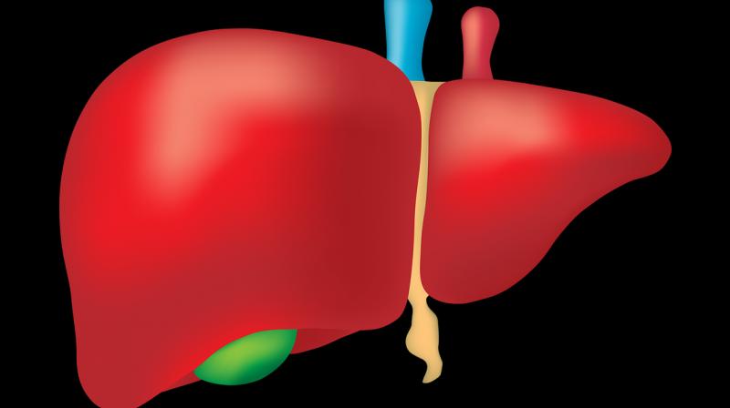 People with chronic inflammatory disorders like psoriasis and rheumatoid arthritis may have an increased risk of developing serious liver damage. (Photo: Pixabay) People with chronic inflammatory disorders like psoriasis and rheumatoid arthritis may have an increased risk of developing serious liver damage. (Photo: Pixabay)
