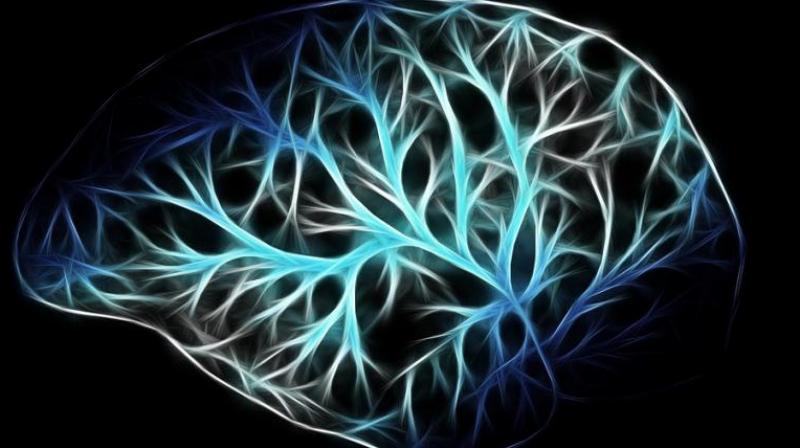 Study finds risk of Alzheimer's high for people who snore loudly. Study finds risk of Alzheimer's high for people who snore loudly.