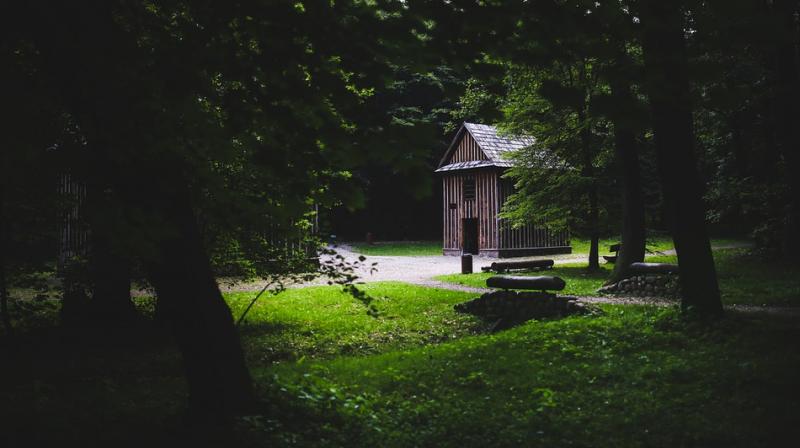 Watching birds makes people feel relaxed and connected to nature (Photo: Pixabay) Watching birds makes people feel relaxed and connected to nature (Photo: Pixabay)