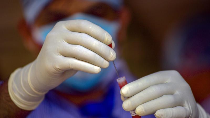 A medic works on a sample for a COVID-19 rapid test at a camp in Bhubaneswar. (PTI)