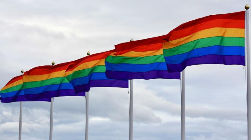 The traditional labels of 'gay', 'bisexual' and 'straight' do not capture the full range of human sexuality, and whether a person is attracted to the same, or opposite sex can change over time. (Photo: Representational/Pixabay) The traditional labels of 'gay', 'bisexual' and 'straight' do not capture the full range of human sexuality, and whether a person is attracted to the same, or opposite sex can change over time. (Photo: Representational/Pixabay)