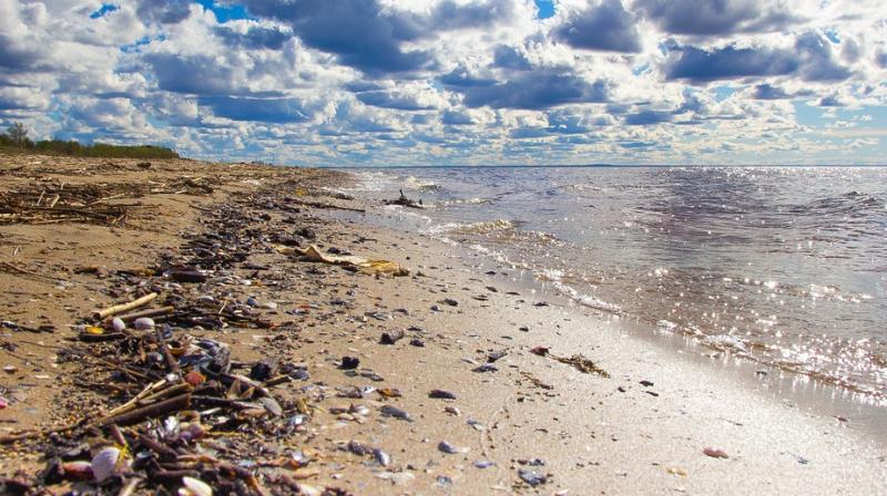 Remote islands in the Indian Ocean are being choked with the excessive plastic debris that gets washed on shore from the oceans. (Photo: Representational/Pixabay) Remote islands in the Indian Ocean are being choked with the excessive plastic debris that gets washed on shore from the oceans. (Photo: Representational/Pixabay)