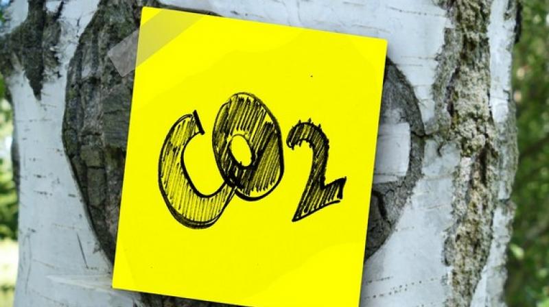 After capturing the carbon, the converted material can be used to make polyurethane, a material with a wide variety of applications including clothing, domestic appliances, and packaging. (Photo: ANI) After capturing the carbon, the converted material can be used to make polyurethane, a material with a wide variety of applications including clothing, domestic appliances, and packaging. (Photo: ANI)