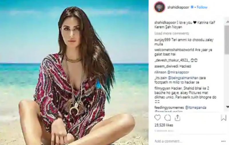 ‘I love you Katrina Kaif’: Shahid Kapoor’s hacked Twitter account writes, restored