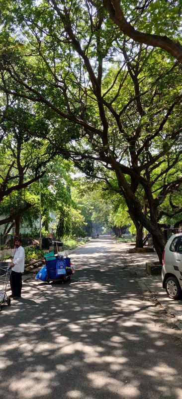 OnePlus 6T camera sample OnePlus 6T camera sample