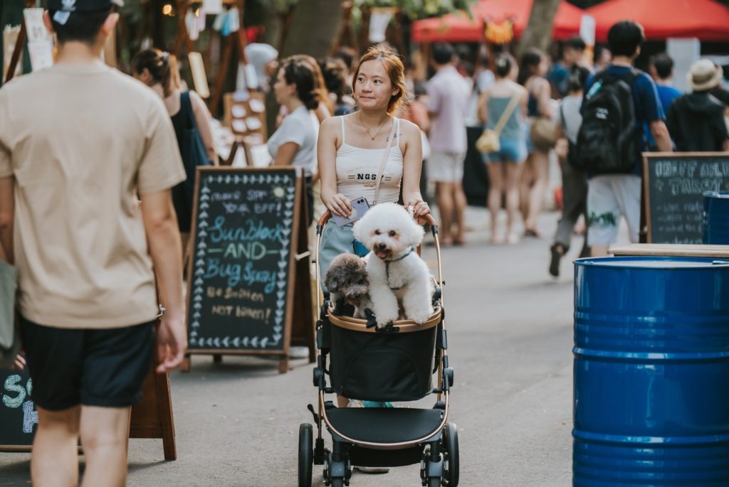Singapore Sentosa Festive Market Sunday Social Childrens Day