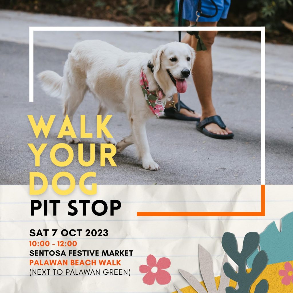 Singapore Sentosa Festive Market is celebrating Children's Day!