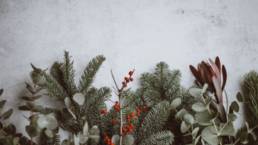 singapore christmas carols at eden hall