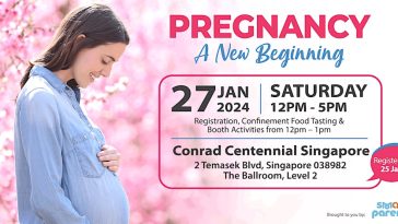 singapore pregnancy a new beginning 2024