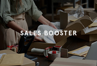 Boost Biz